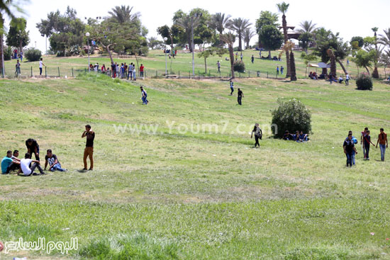 اليوم السابع -7 -2015